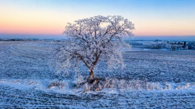 Cold in Different Languages